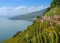 Viticoltura eroica protagonista tra l’Alto Adige, la Catalogna… e l’Abruzzo