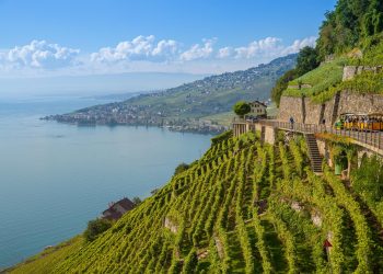 Viticoltura eroica protagonista tra l’Alto Adige, la Catalogna… e l’Abruzzo